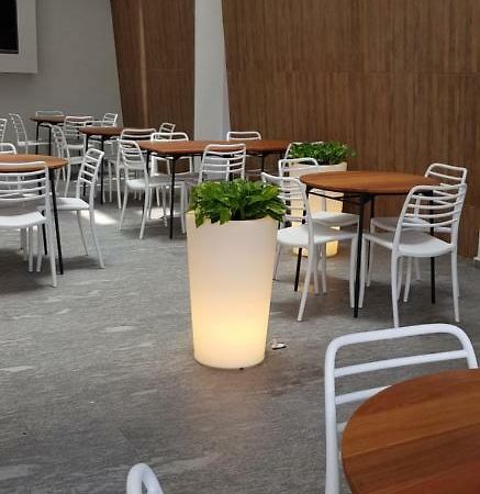 Quinto Elemento Hotel Kota Meksiko Bagian luar foto