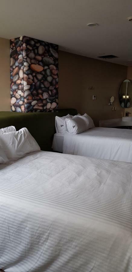 Quinto Elemento Hotel Kota Meksiko Bagian luar foto